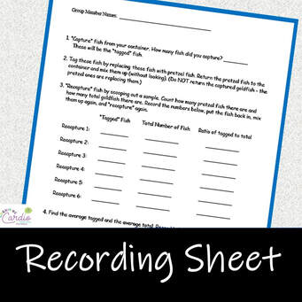 ratios and proportions activity recording sheet